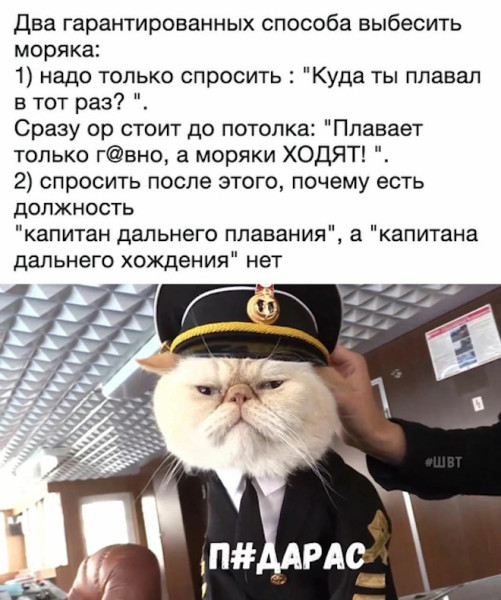 Мем: Свежие приколы, Юмористка