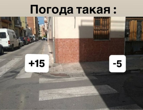 Мем: Свежие приколы, Юмористка