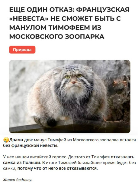 Мем, alexx__ka Мем, alexx__ka