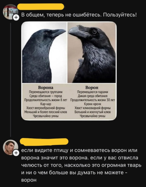 Мем, Mghost Мем, Mghost