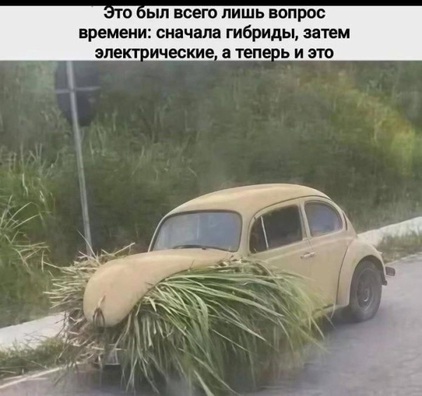 Мем, Mghost Мем, Mghost