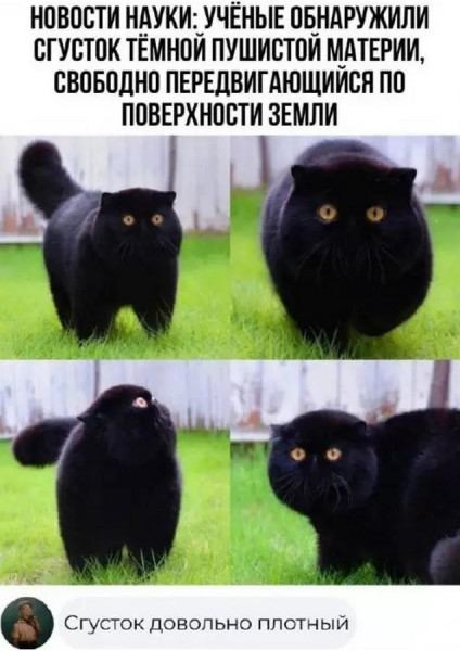 Мем, Mghost Мем, Mghost