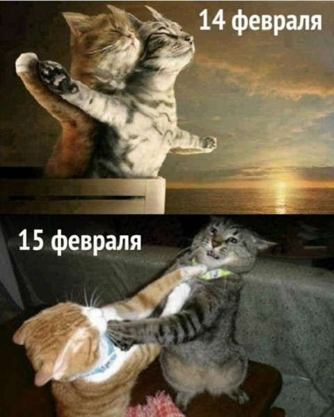 Мем: Приколы и юмор, Юмористка