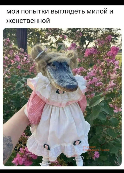 Мем, anberg Мем, anberg