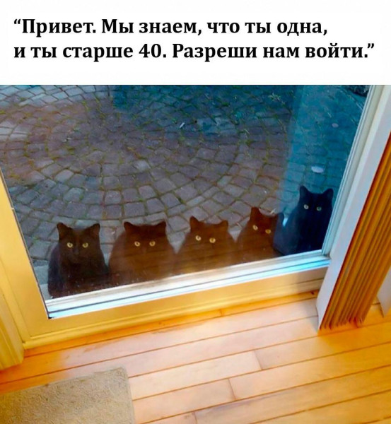 Мем, Mghost Мем, Mghost