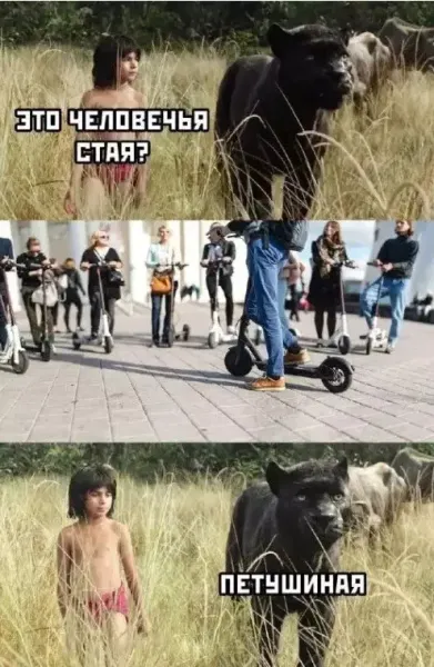 Мем: Самокатчики, Правдоруб Адекват Мем: Самокатчики, Правдоруб Адекват