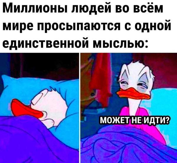 Мем: Юмор, iteam