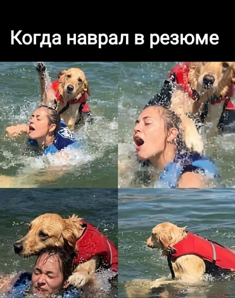 Мем, Рысь Мем, Рысь