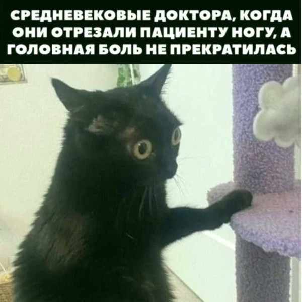 Мем: Юмор и приколы, iteam