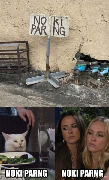 Мем, Рысь Мем, Рысь