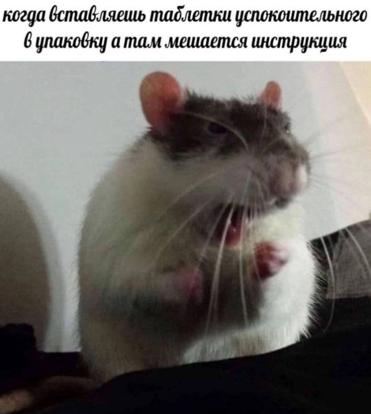 Мем, henh Мем, henh