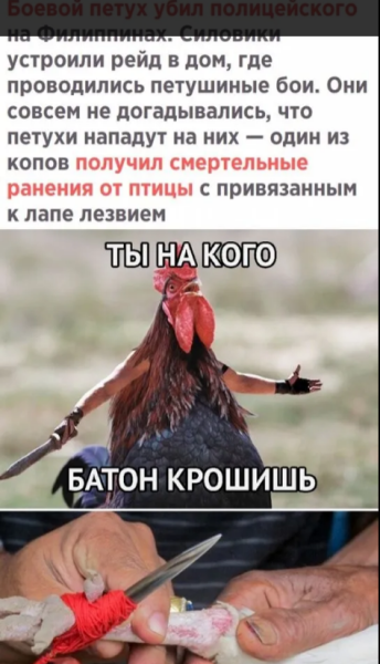 Мем, михельсон Мем, михельсон