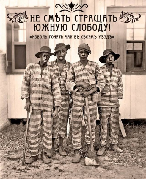 Мем, Ingrid Lovera