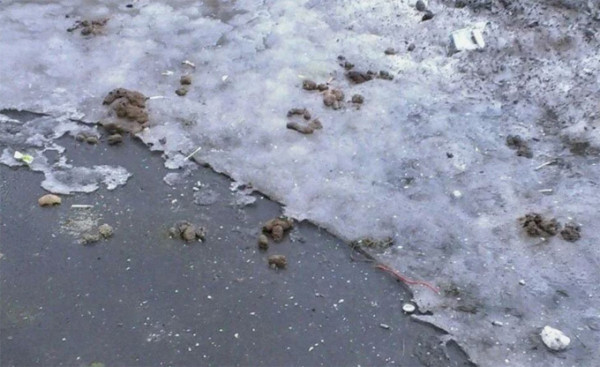 Мем: Приметы 1 апреля