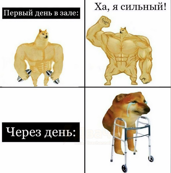 Мем, henh