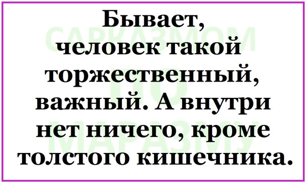Мем, Александр САН