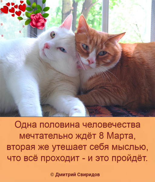 Мем: В преддверии праздника 8 Марта)