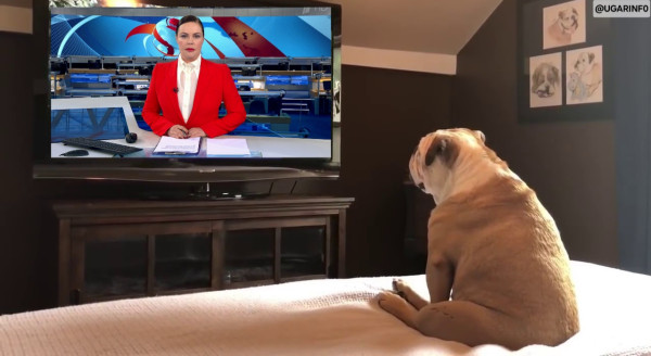 Мем, УгарИнфо