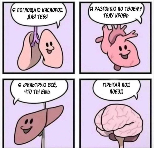 Мем: Юмор на день, iteam