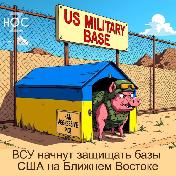 Мем, Юрий Небольсин