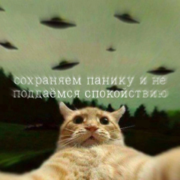 Мем, Максим Камерер