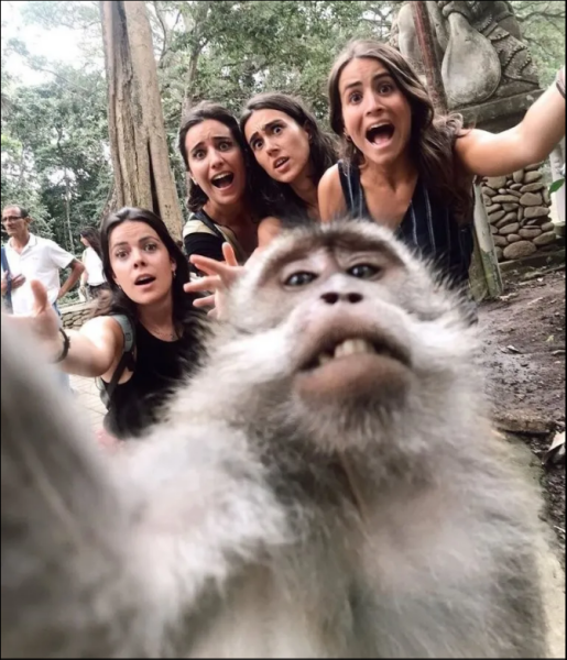 Мем, михельсон Мем, михельсон