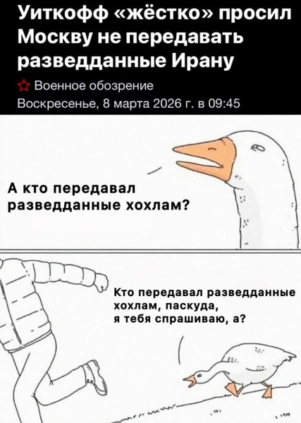 Мем: Долг платежом красен, Максим Камерер