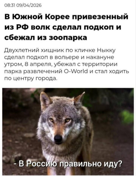 Мем, Смехалка