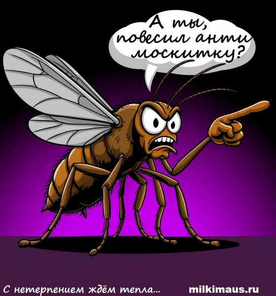 Мем, Лис Интересный