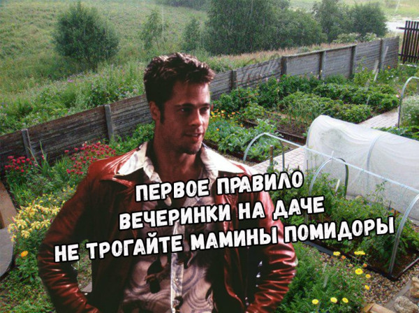 Мем: Не трогайте мамины помидоры, RusLan2025