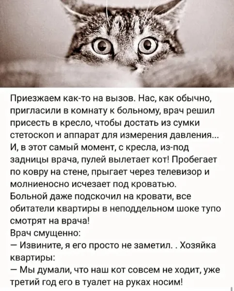 Мем, Смехалка