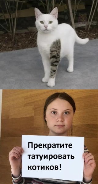 Мем, Смехалка