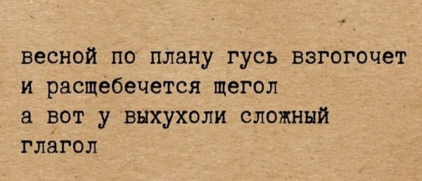 Мем, Ingrid Lovera