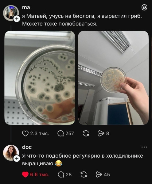 Мем, henh Мем, henh