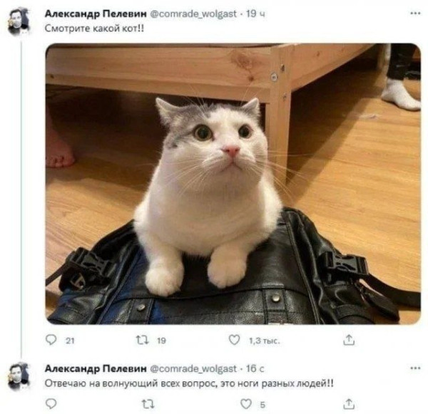 Мем, henh Мем, henh