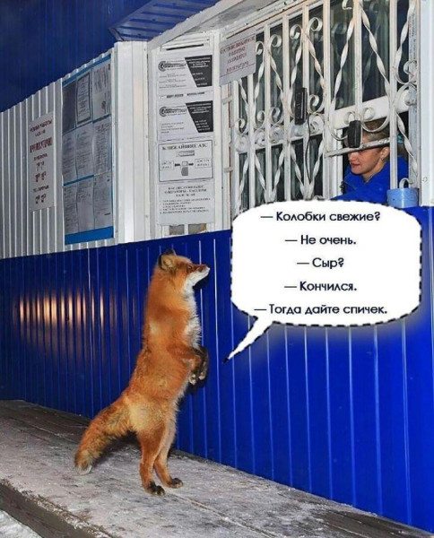 Мем, Mghost Мем, Mghost