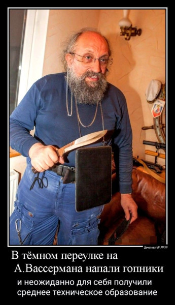 Мем: Анатолий Вассерман, RusLan2025