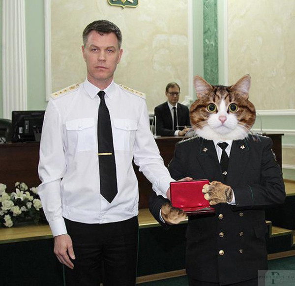 Мем: В цикле сансары