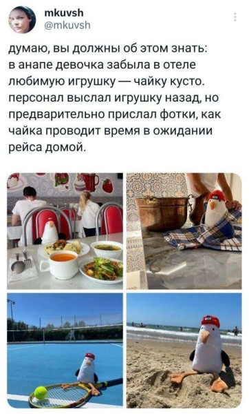 Мем, henh