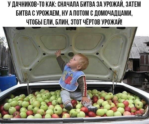 Мем: Битва за урожай, RusLan2025