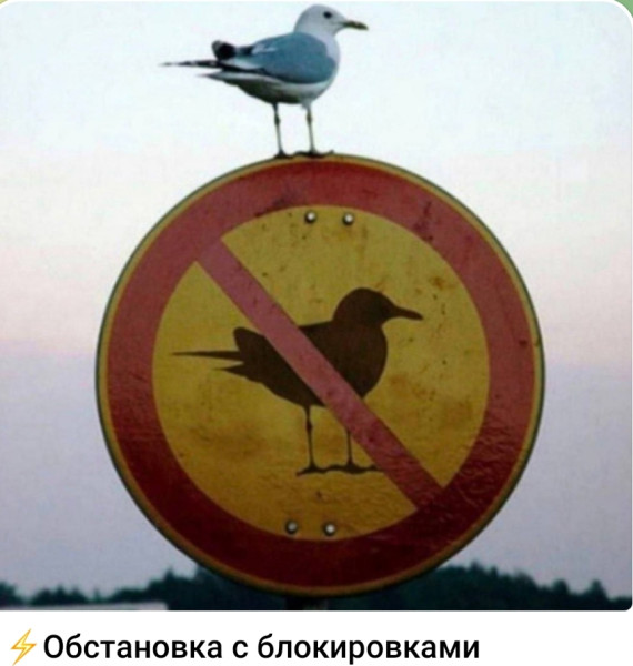 Мем, Ashmedai