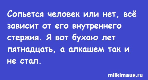 Мем, Лис Интересный