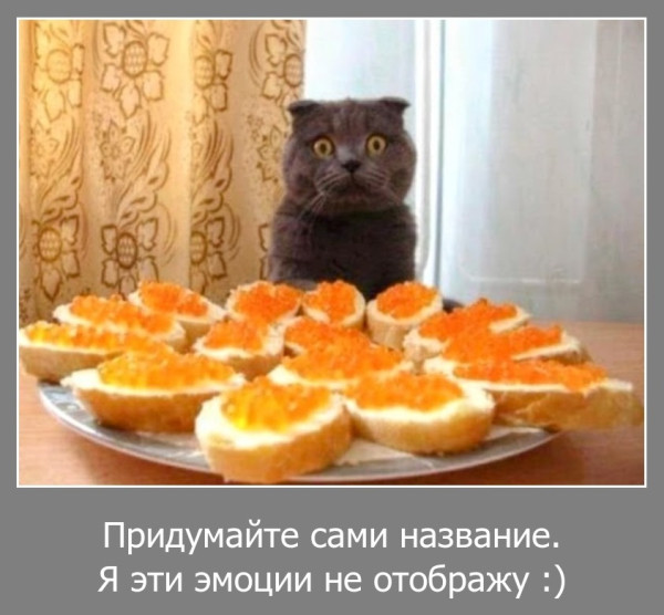 Мем, Волгоградский рыболов