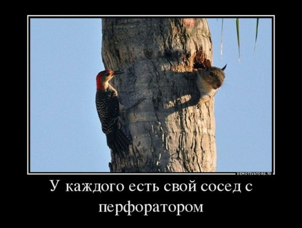 Мем: Сосед с перфоратором, RusLan2025