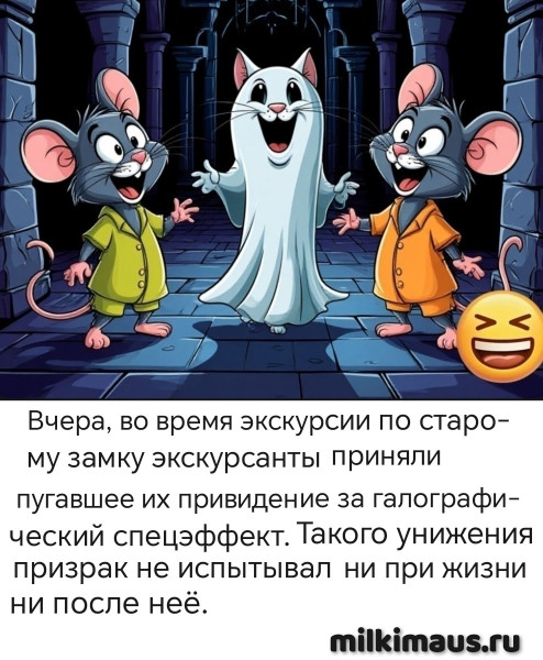 Мем, Лис Интересный