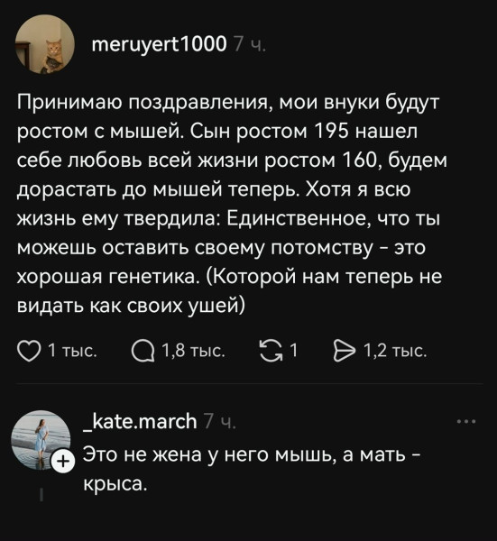 Мем, henh