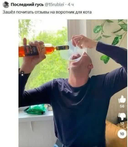 Мем, Максим Камерер