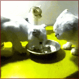 Мем: У сильного всегда бессильный виноват, Серж Скоров