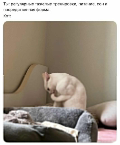 Мем, Смехалка