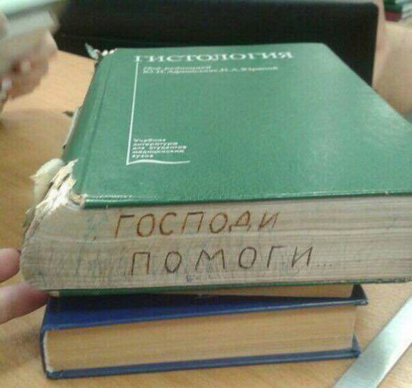 Мем: Гистология, RusLan2025